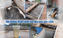Hệ thống xử lý nước thải giết mổ gia súc Thanh Quốc